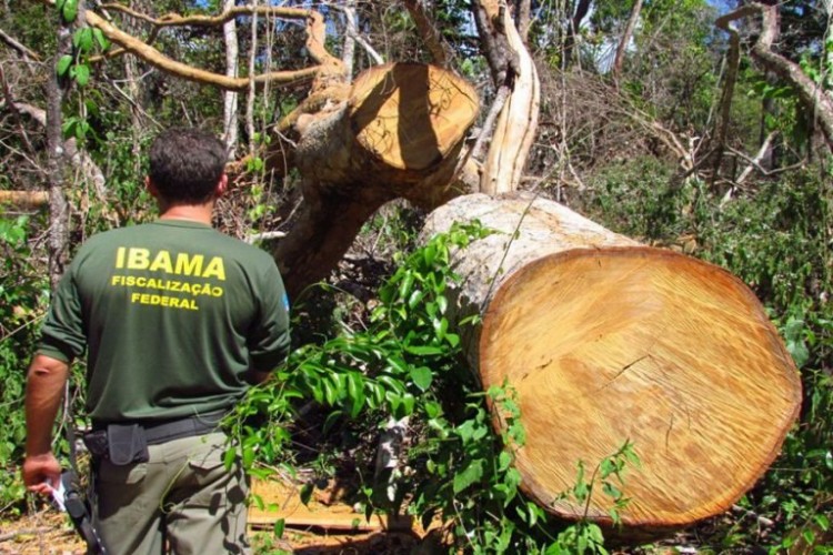 Fiscalização-do-IBAMA-768x512