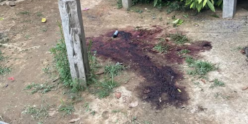 Duas pessoas morrem em ataque a tiros na zona rural de Candeias do Jamari, RO
