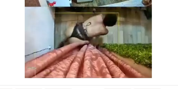 Homem usando apenas calcinha ‘fio dental’ é flagrado por câmeras furtando floricultura no centro