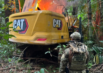 PF e ICMBio combatem garimpo ilegal em Rondônia