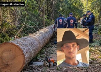 Machadinho D’Oeste: trabalhador morre após ser atingido por tora de árvore na zona rural