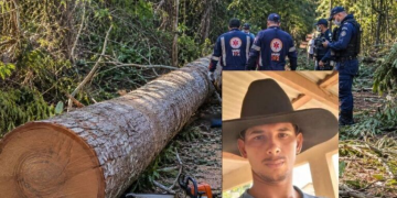 Machadinho D’Oeste: trabalhador morre após ser atingido por tora de árvore na zona rural