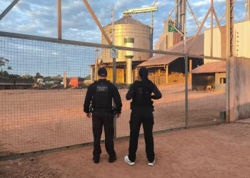 Operação Joio: Polícia Civil desmantela rede de desvio de soja e milho em Rondônia