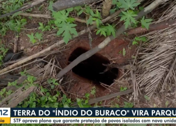 Terra onde ‘Índio do Buraco’ viveu isolado por décadas vira parque nacional em RO