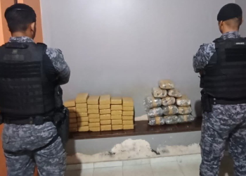 Polícia Militar apreende mais de 52 quilos de drogas e causa prejuízo de R$ 510 mil ao tráfico em Rondônia