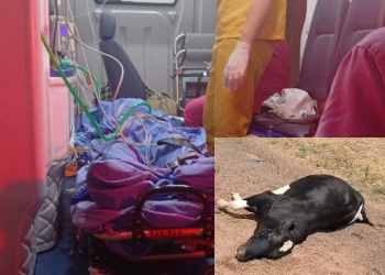 Adolescente de 17 anos fica gravemente ferido após colidir com animal na RO-133