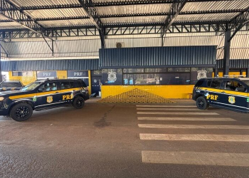 PRF em Rondônia apreende mais de 200 quilos de skunk escondidos em carga de paletes na BR-364