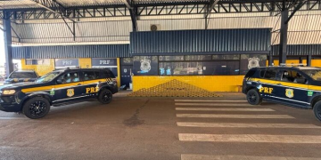 PRF em Rondônia apreende mais de 200 quilos de skunk escondidos em carga de paletes na BR-364
