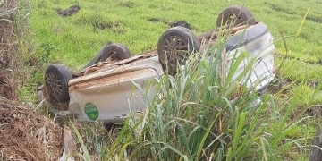 Fiat Argo capota após atingir capivara na Linha 623, em Jaru